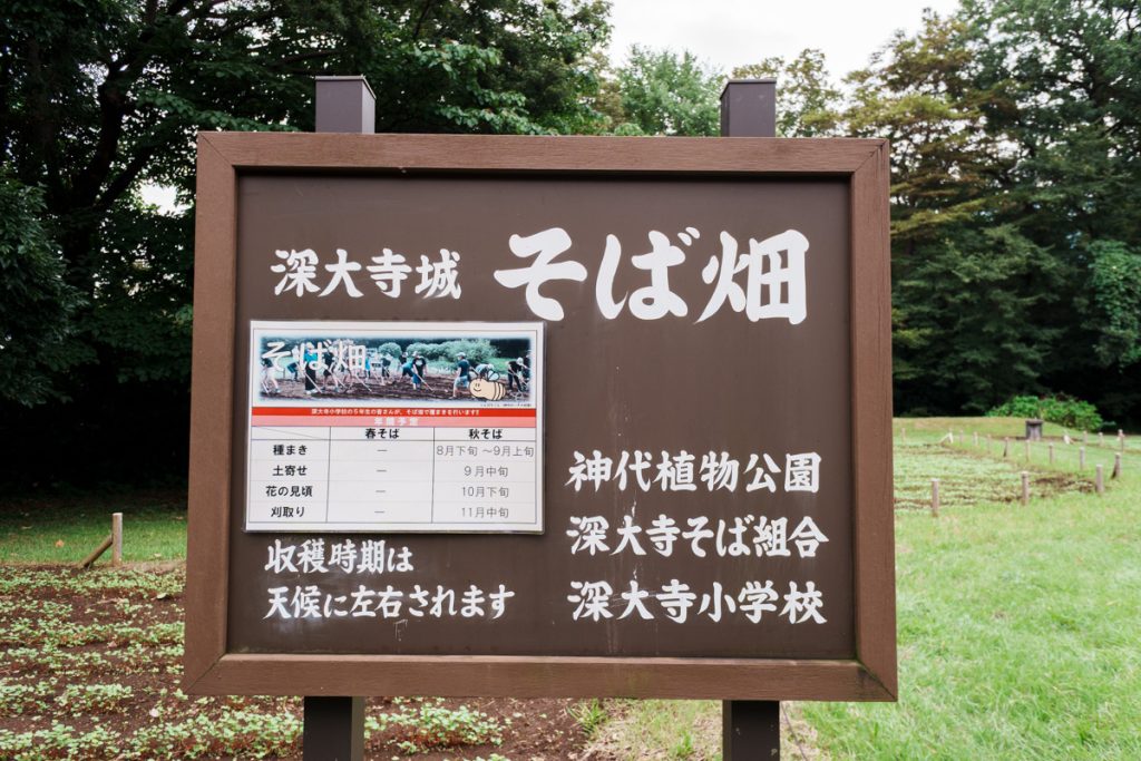 深大寺城址の蕎麦畑