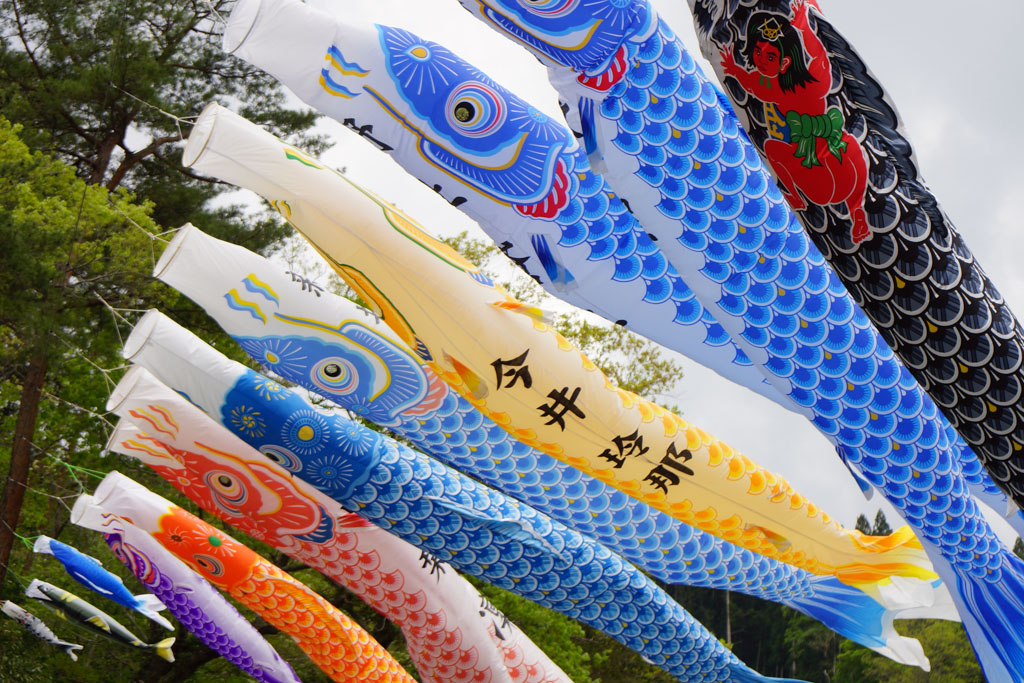 神流鯉のぼり