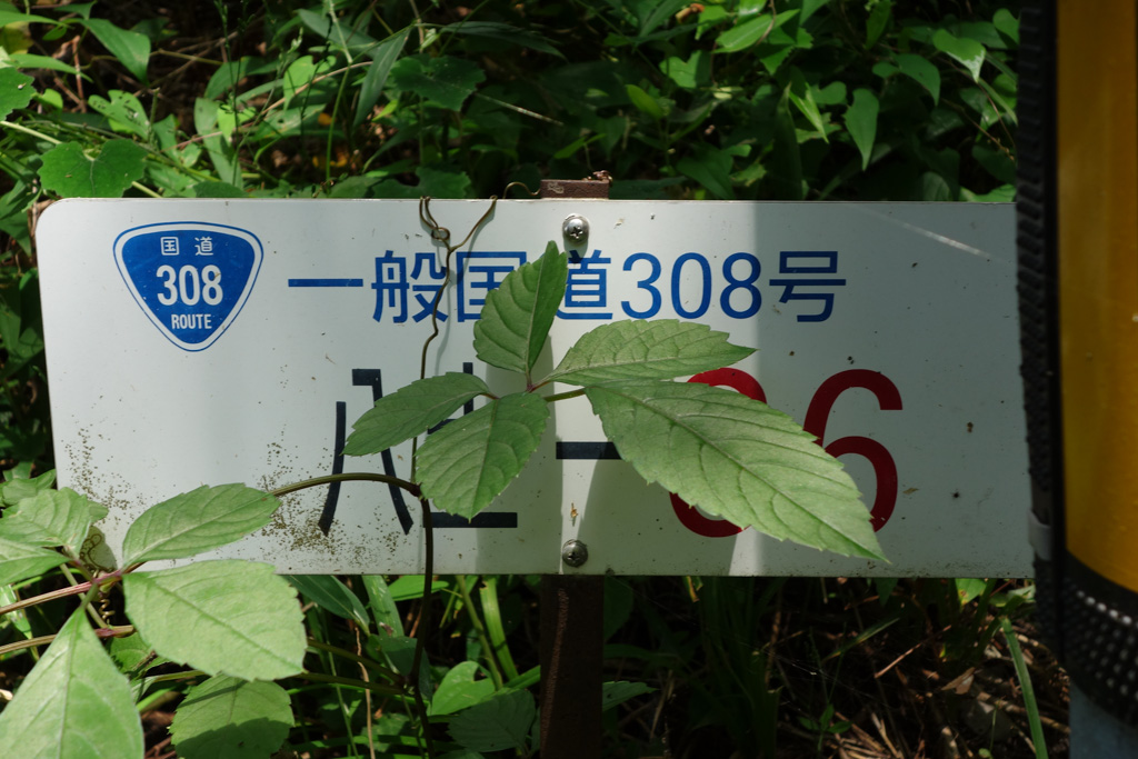 暗峠ツーリング