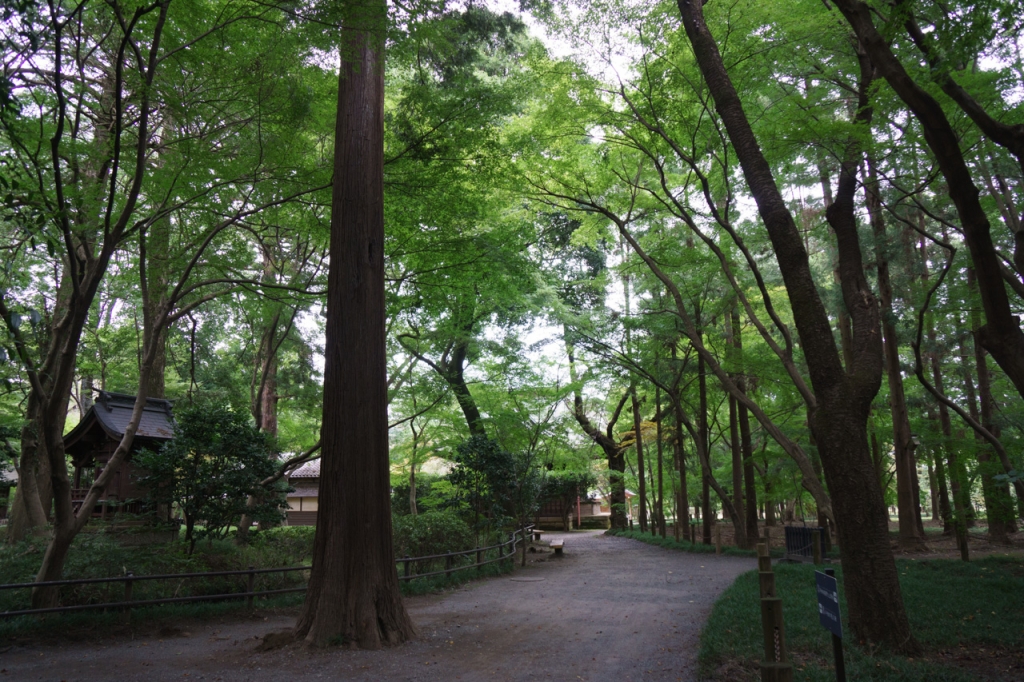 平林寺