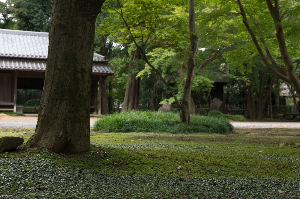 平林寺