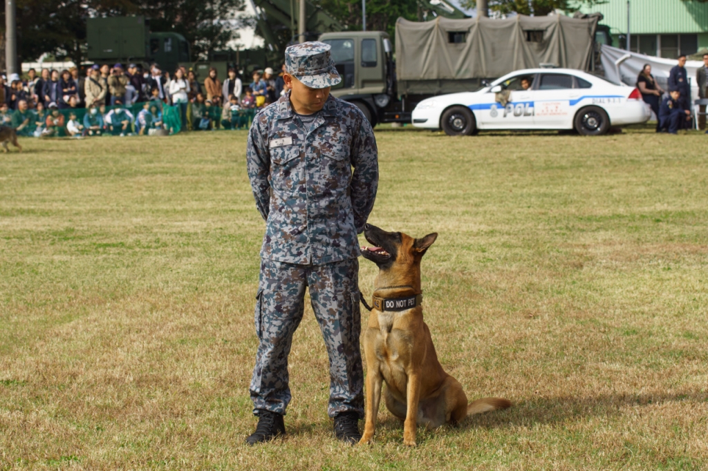 入間航空祭2019