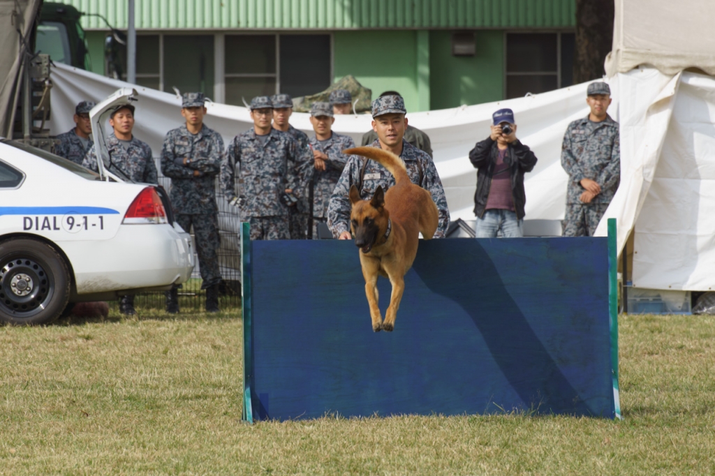 入間航空祭2019