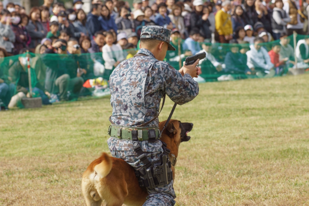 入間航空祭2019
