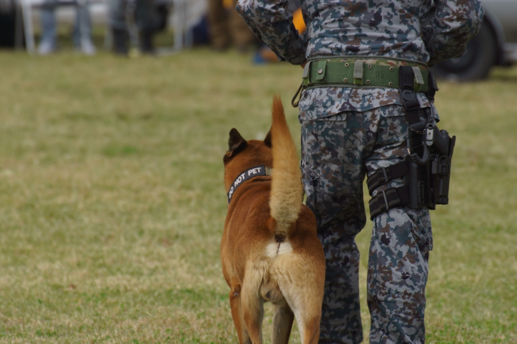 入間航空祭2019