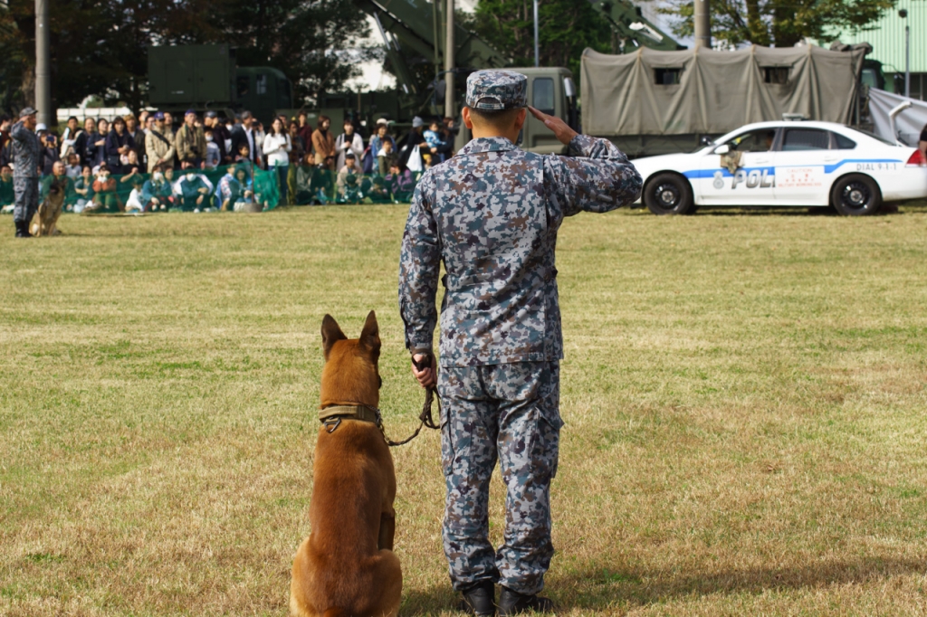 入間航空祭2019
