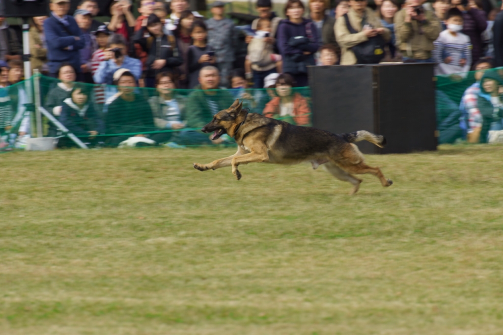 入間航空祭2019