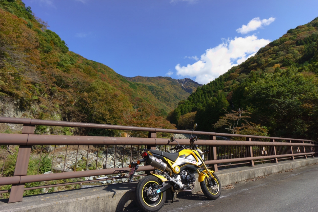 湯之奥井之頭林道