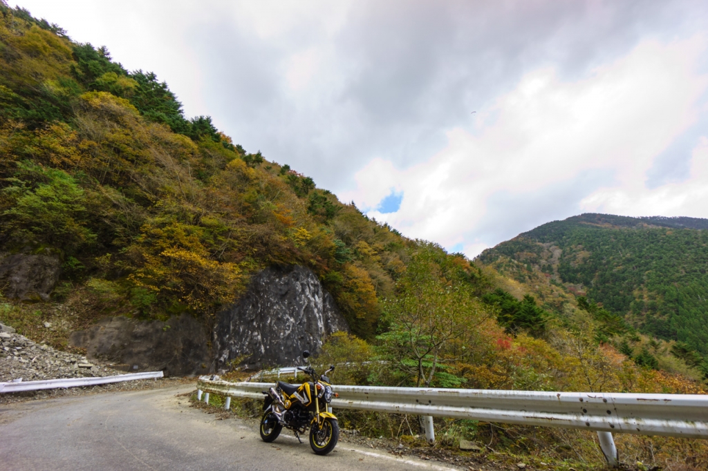 湯之奥井之頭林道