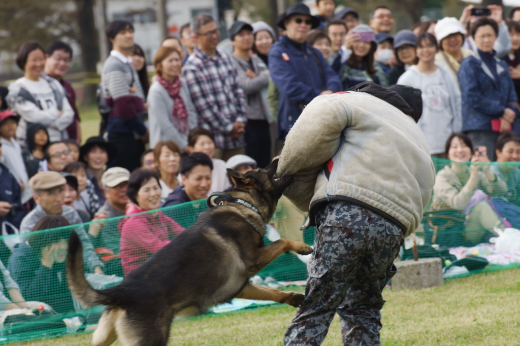 入間航空祭2019