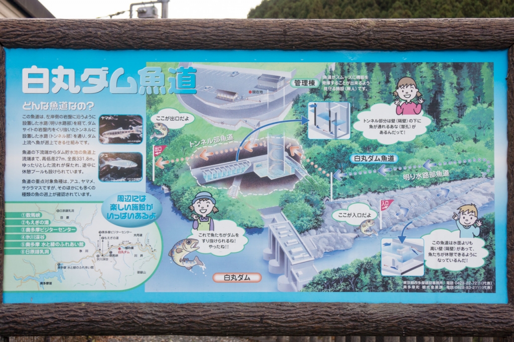 魚道ツーリング