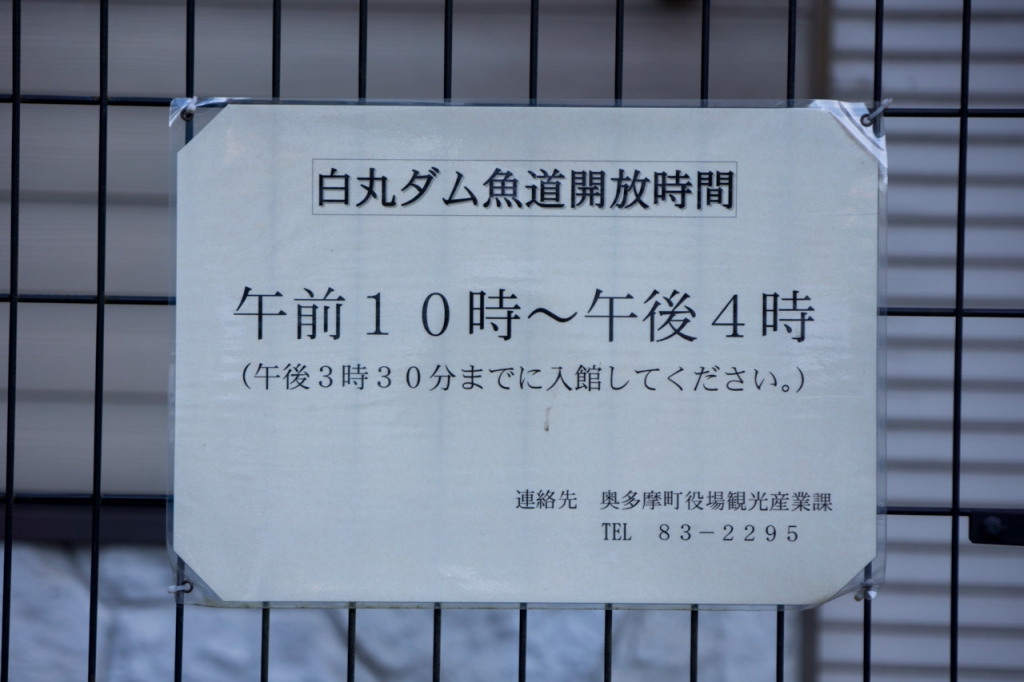 魚道ツーリング