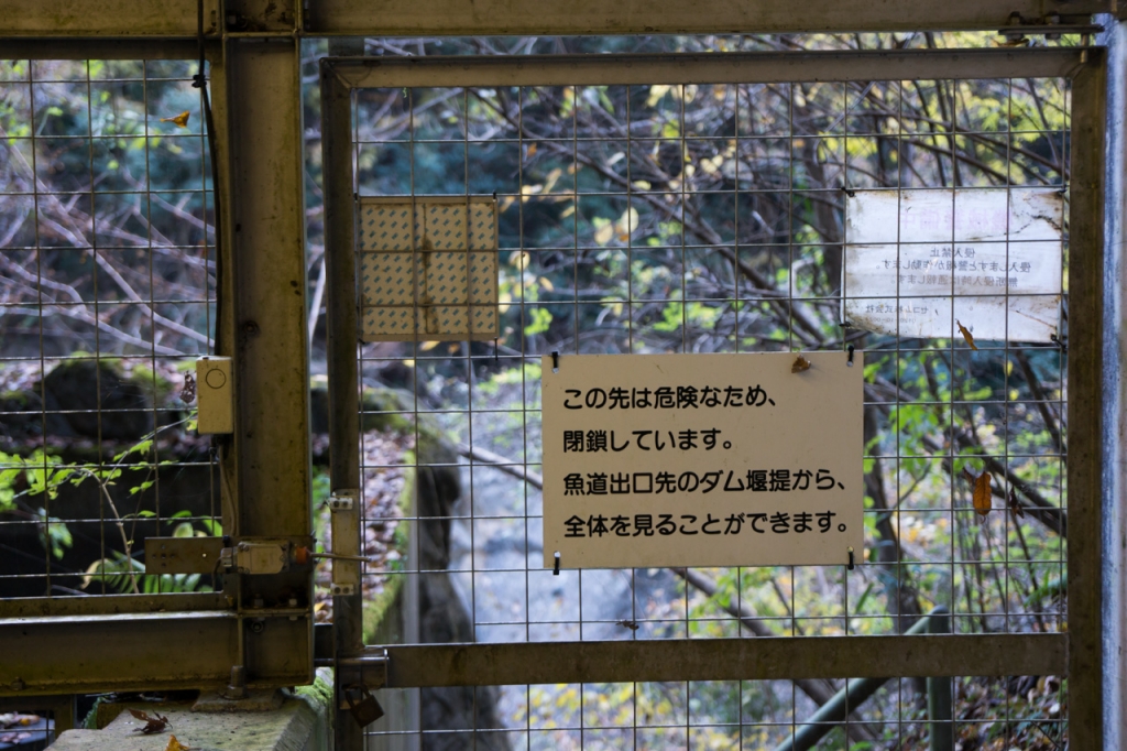 魚道ツーリング