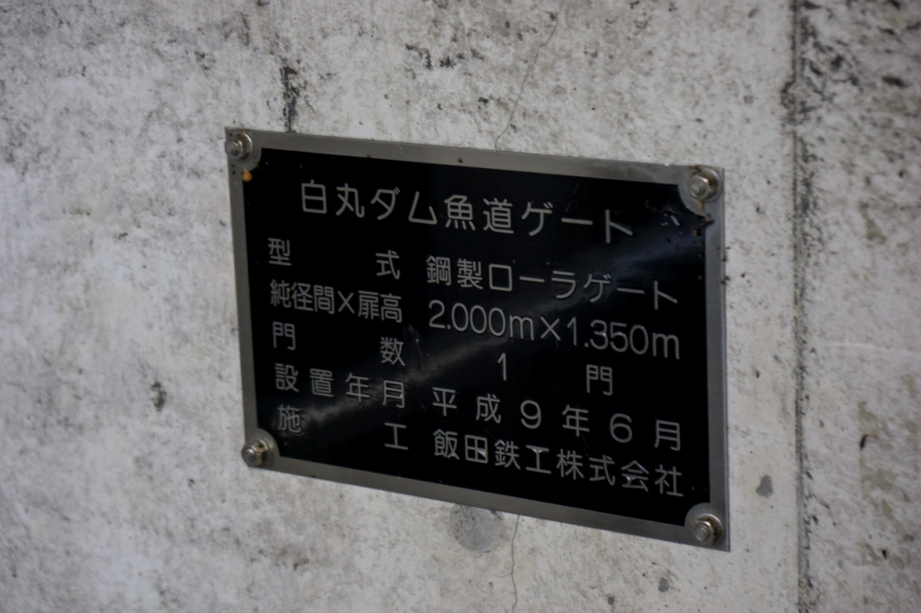 魚道ツーリング