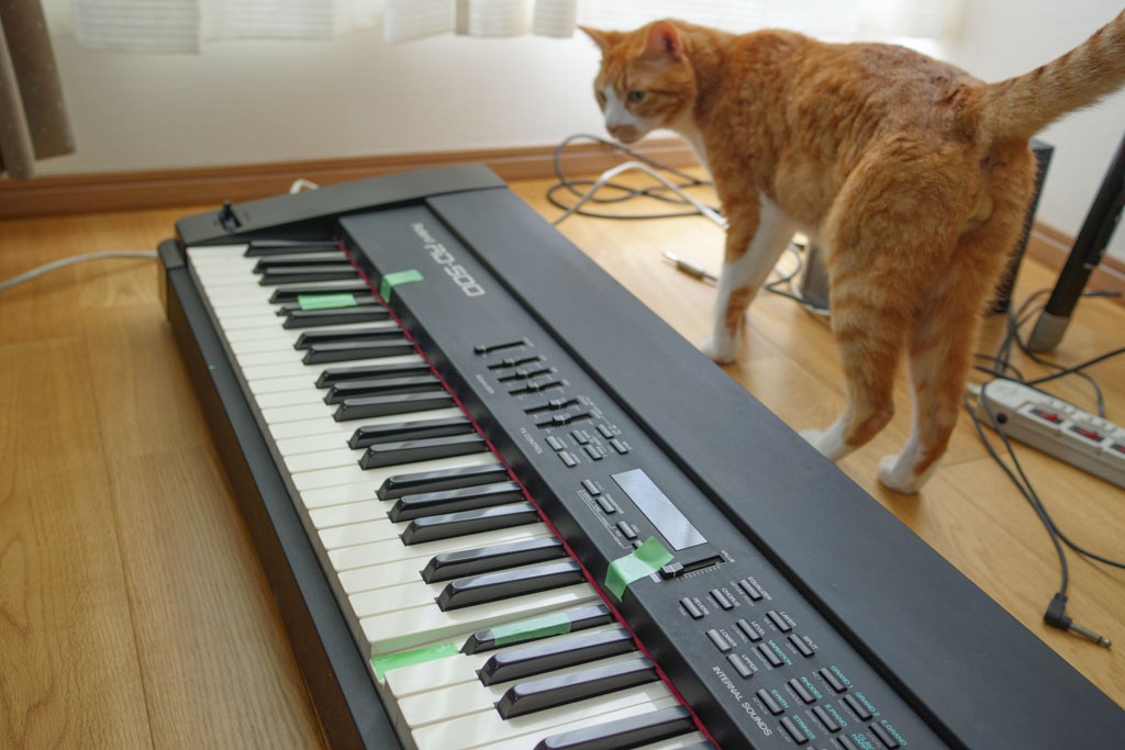 Roland RD-500