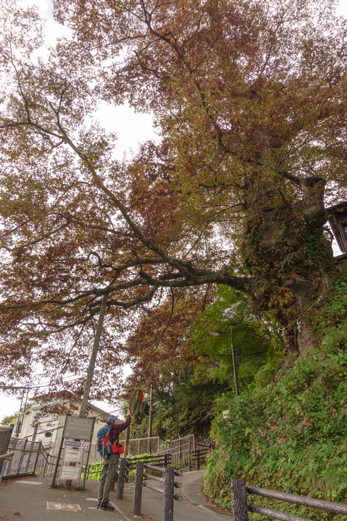 御岳山