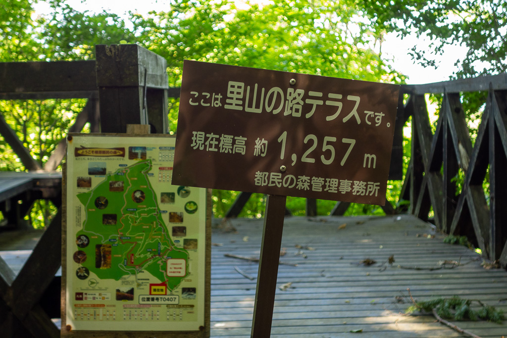 奥多摩 砥山