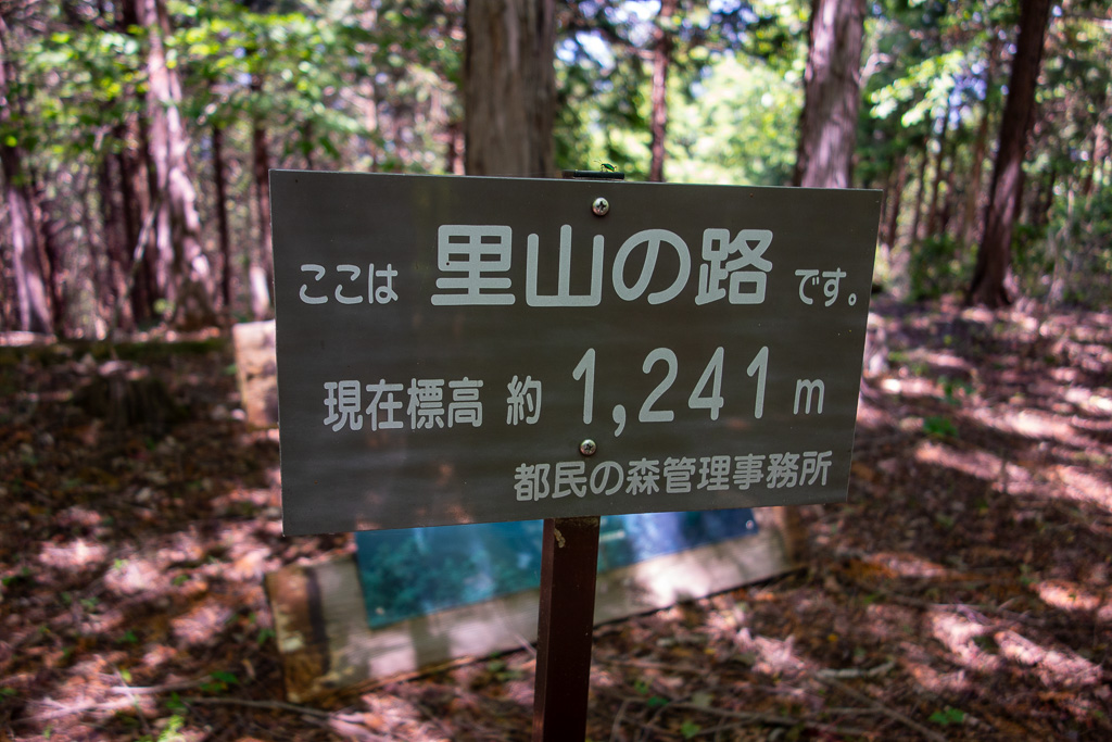奥多摩 砥山