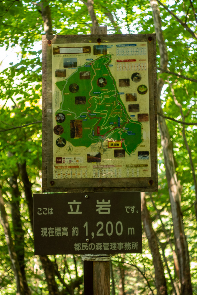 奥多摩 砥山