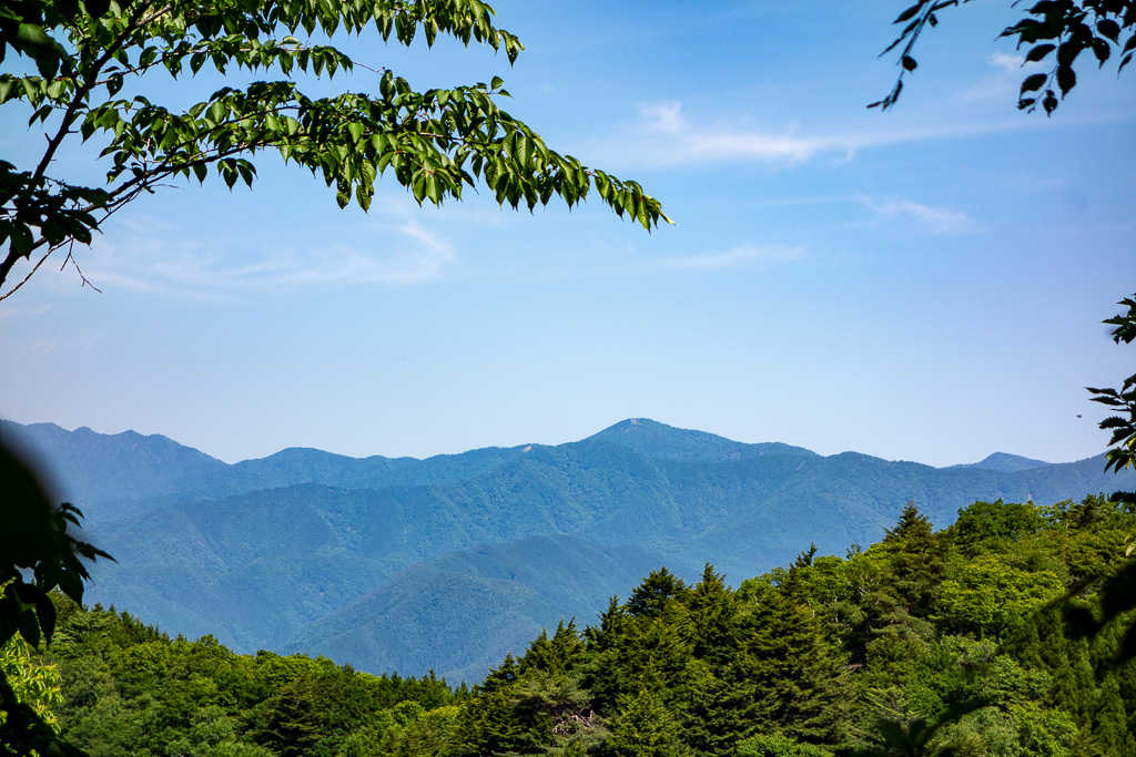 奥多摩 砥山