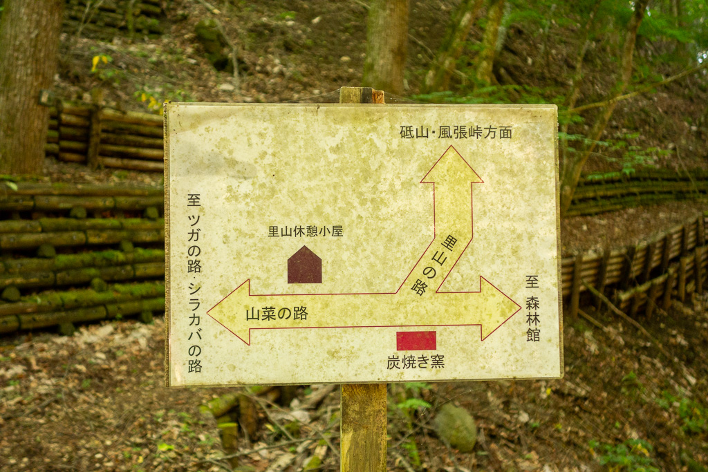 奥多摩 砥山