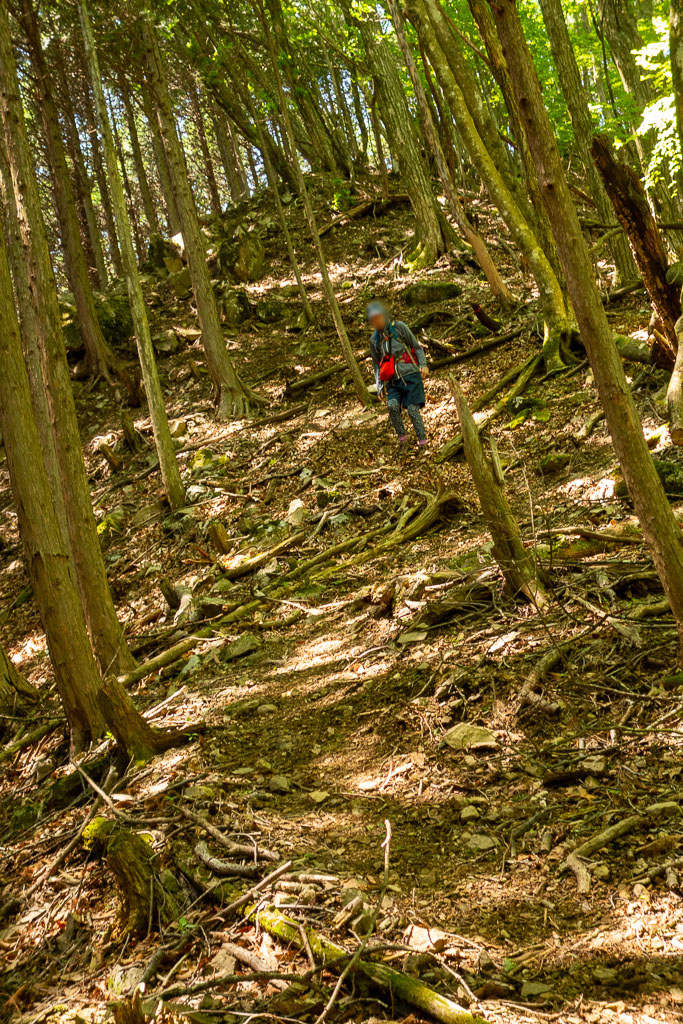 奥多摩 砥山