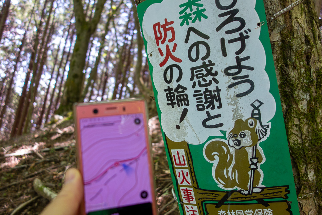 奥多摩 砥山