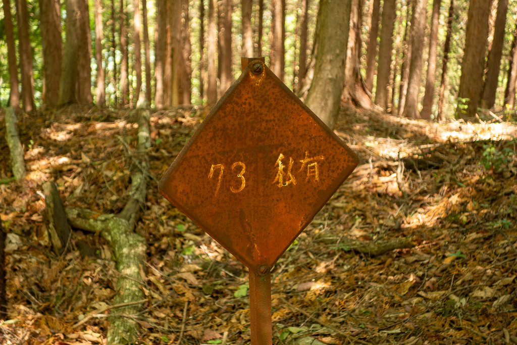 奥多摩 砥山