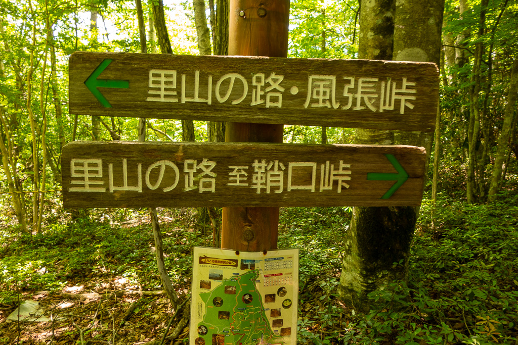 奥多摩 砥山