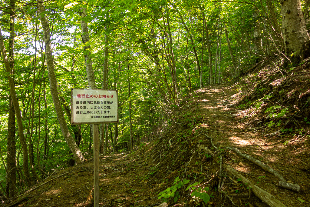 奥多摩 砥山