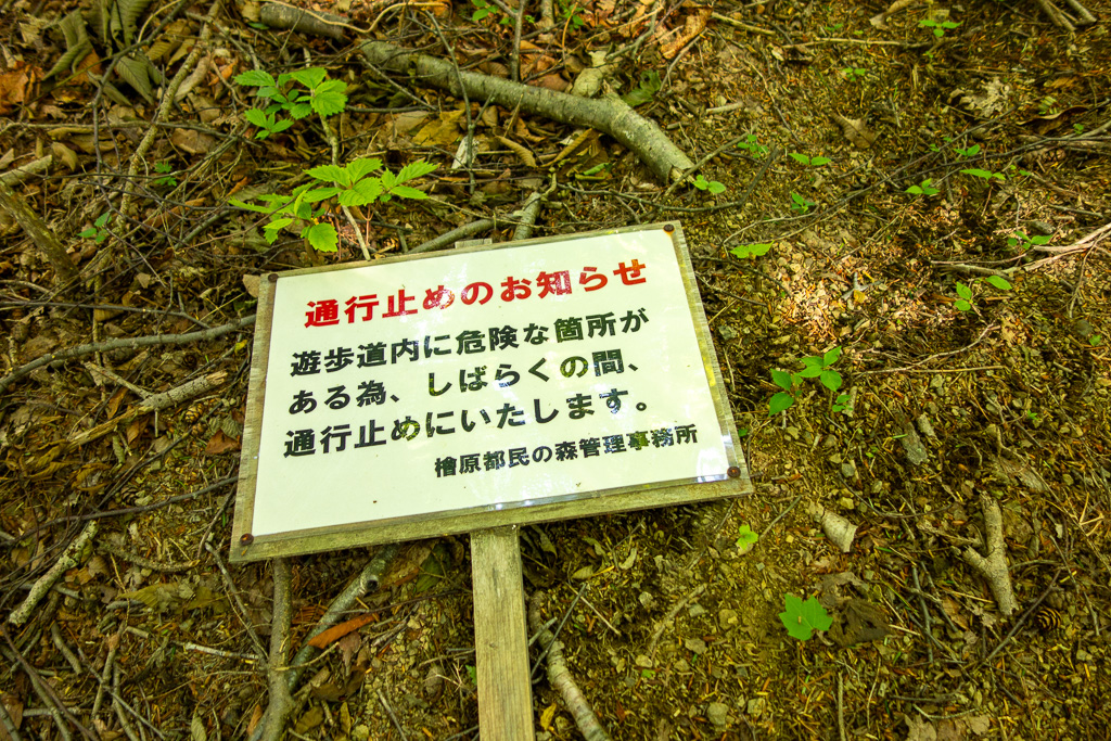 奥多摩 砥山