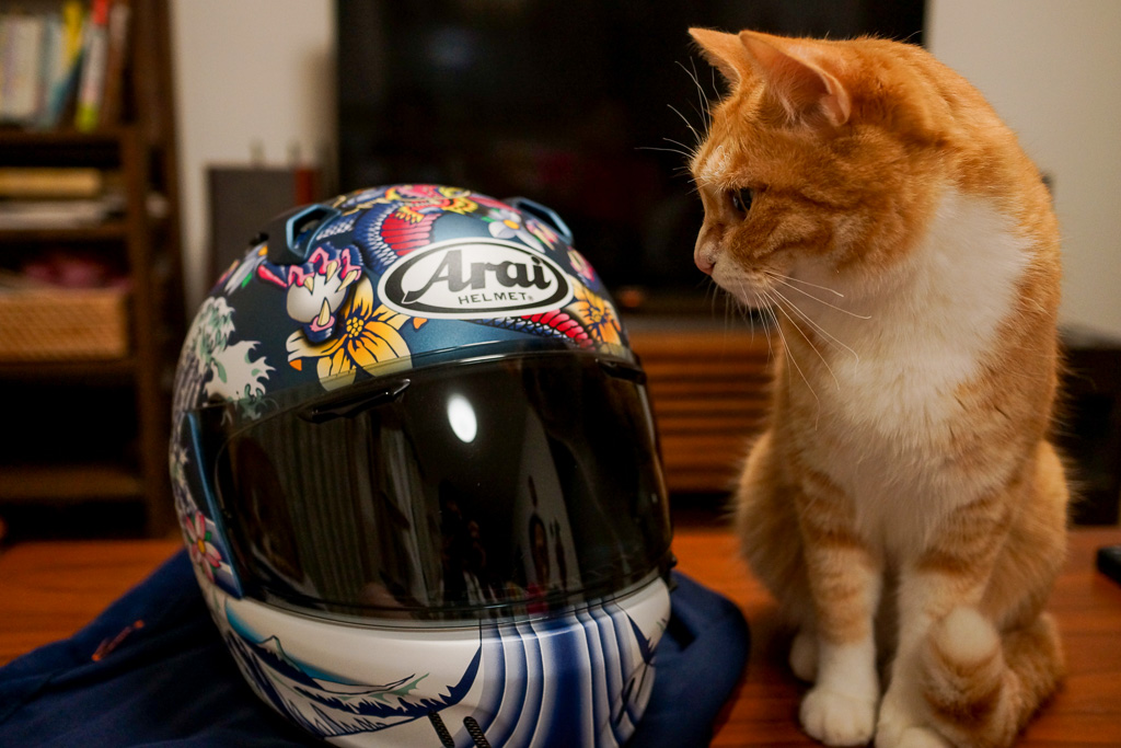 Arai XD Oriental Blue