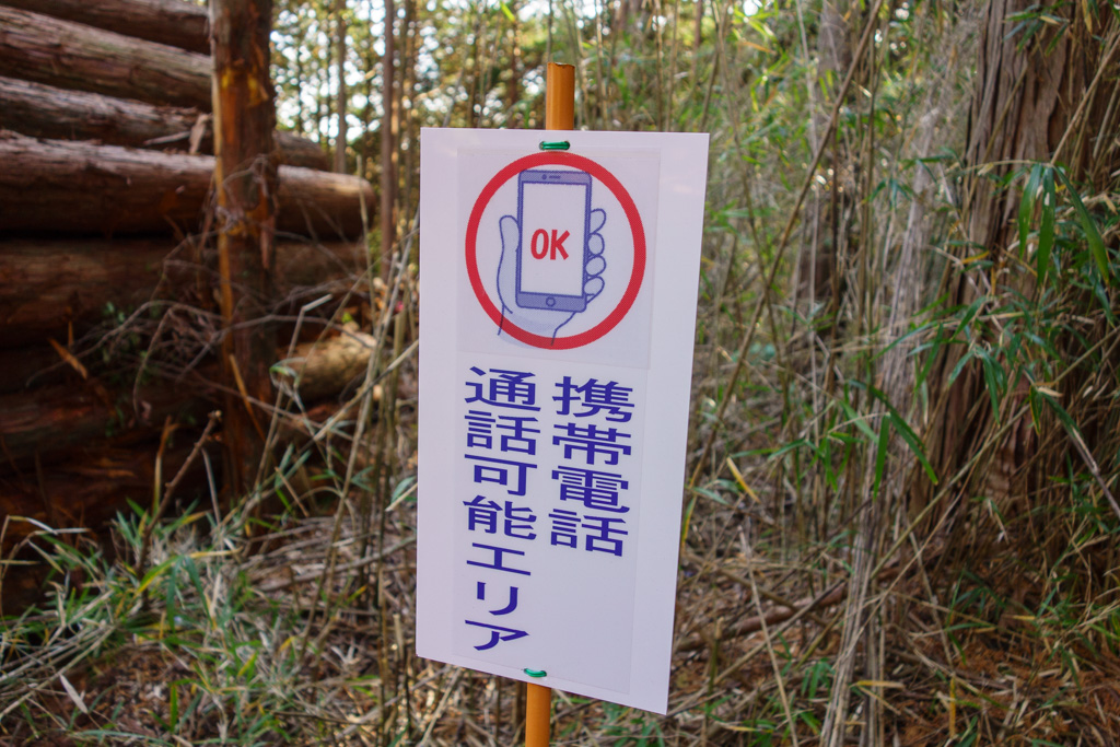 箱根やまなみ林道 ツーリング