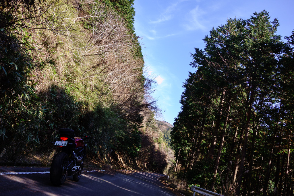 箱根やまなみ林道 ツーリング