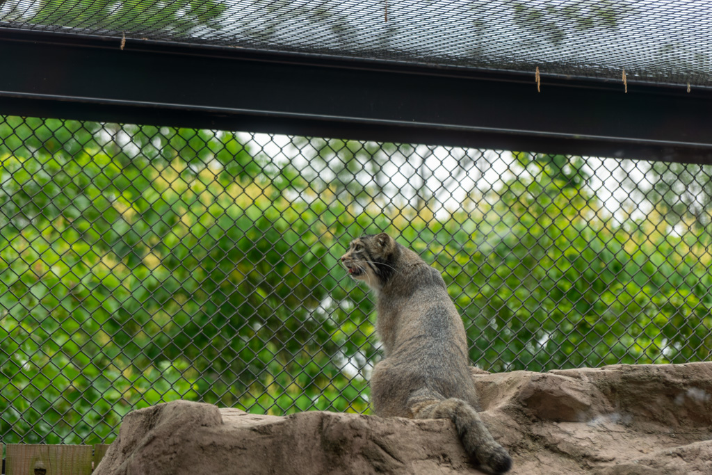 埼玉こども動物自然公園