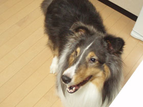 20071215_02.jpg