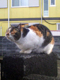 20080105_00.jpg