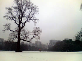 20080123_01.jpg