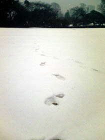 20080123_02.jpg