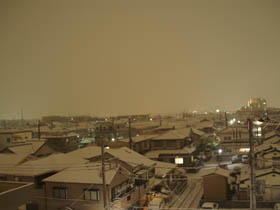 20080209_02.jpg