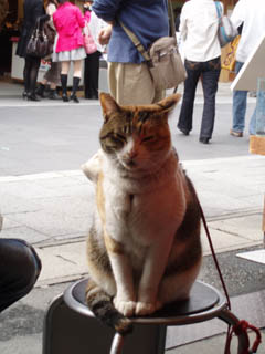 20080323_04.jpg