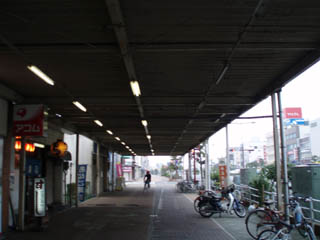20080323_06.jpg