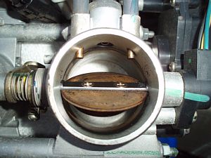 20080506_04.jpg