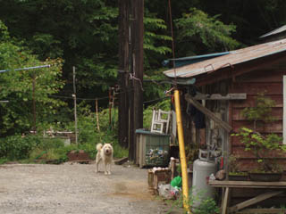 20080607_07.jpg
