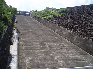 20080812_02.jpg