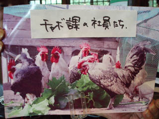 20080815_02.jpg