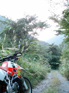 20081004_04.jpg