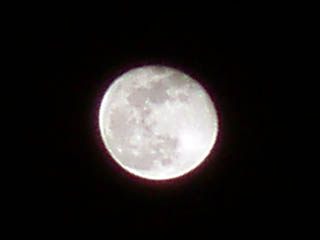20081214.jpg