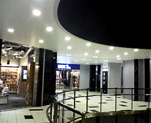 20090128.jpg