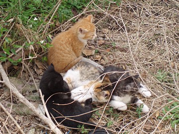 20090416.jpg